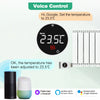 Smart Wifi Thermostatic Radiator