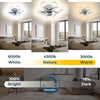 Smart Ceiling Fans